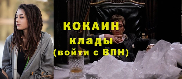 индика Иннополис
