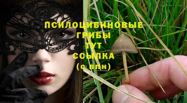 индика Иннополис