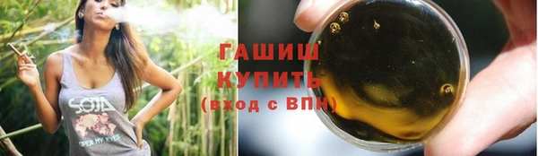 индика Иннополис