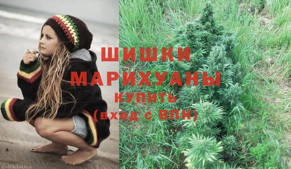 индика Иннополис