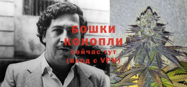 марихуана Инта