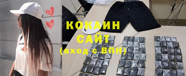 индика Иннополис