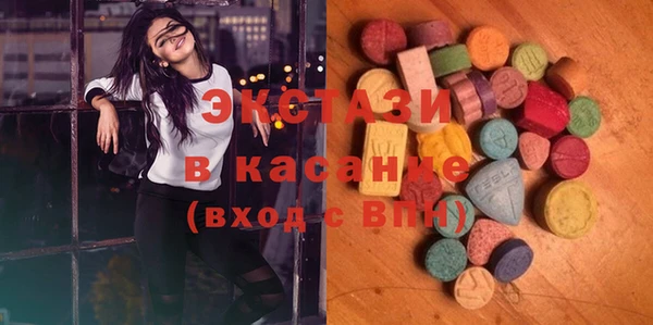 индика Иннополис