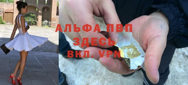 индика Иннополис