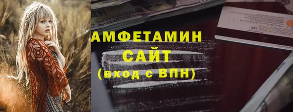 индика Иннополис